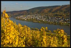 Goldener Oktober an der Mosel