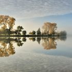 *Goldener Oktober an der Mosel II*