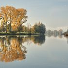 *Goldener Oktober an der Mosel III*