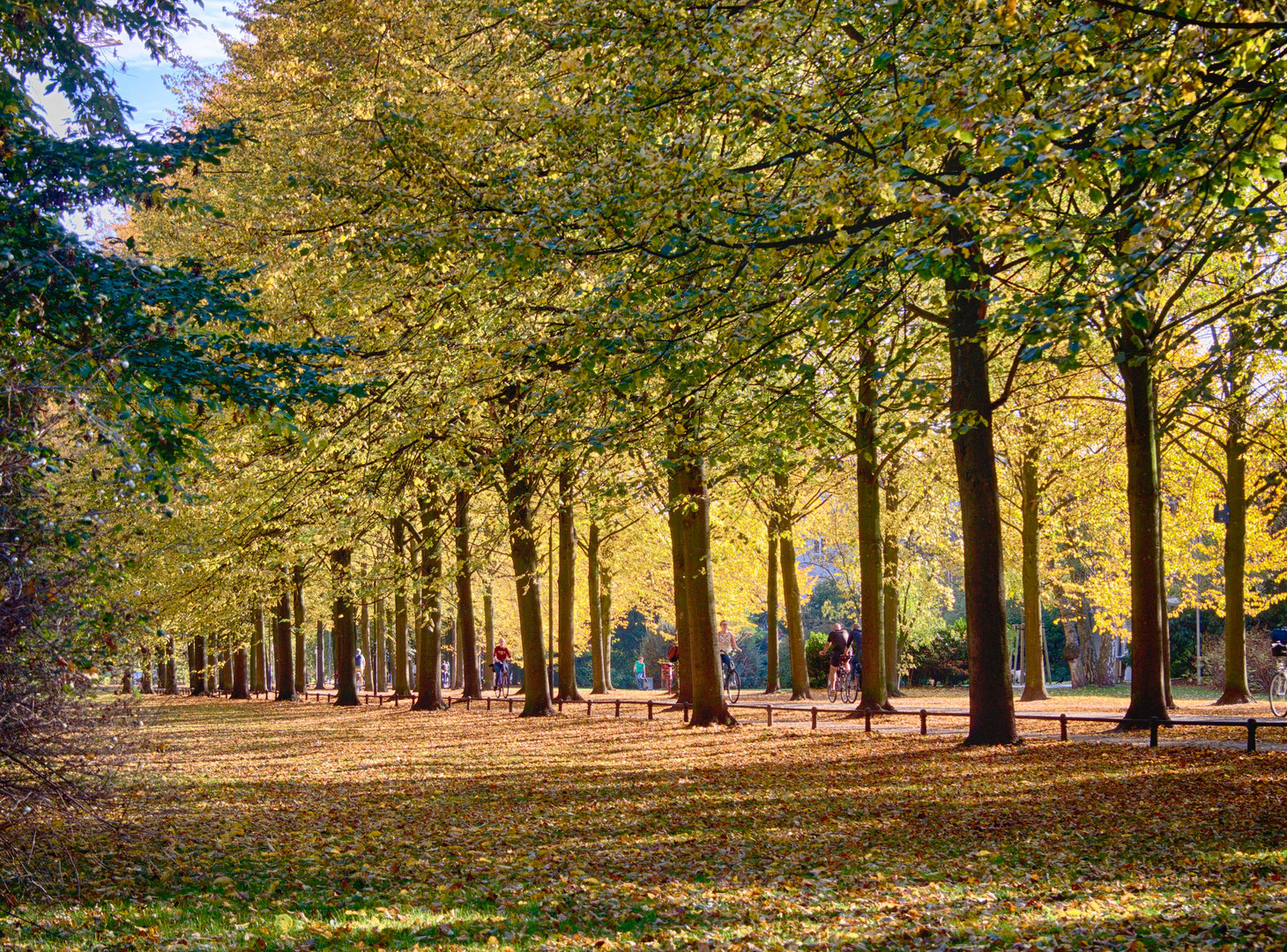 Goldener Oktober an der Münsterschen Promenade