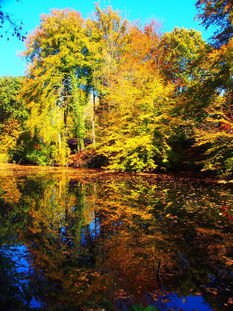 Goldener Oktober an der Werse