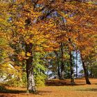 Goldener Oktober auf der Schwäbischen Alb