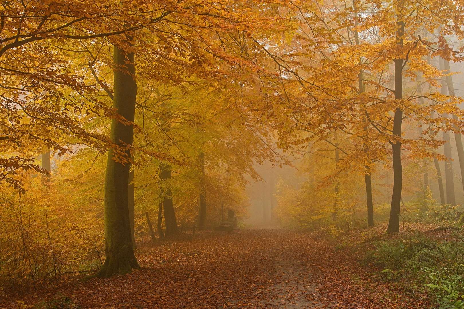 goldener Oktober