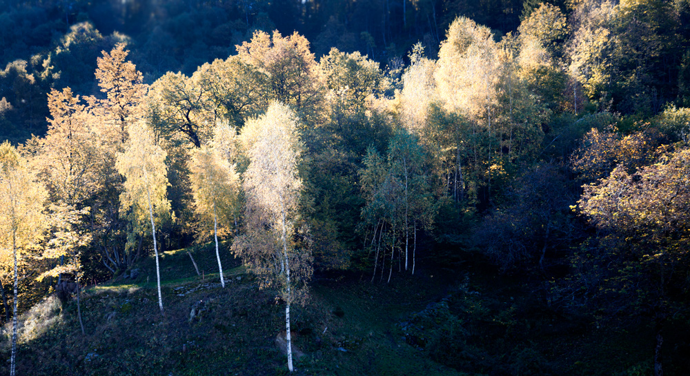 goldener Oktober