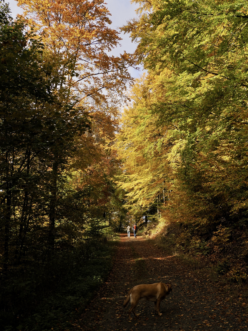 Goldener Oktober 