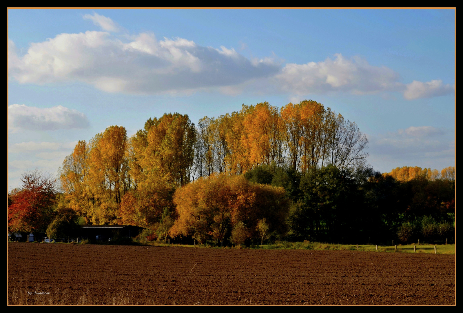 goldener Oktober