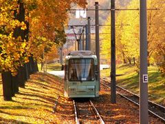 Goldener Oktober