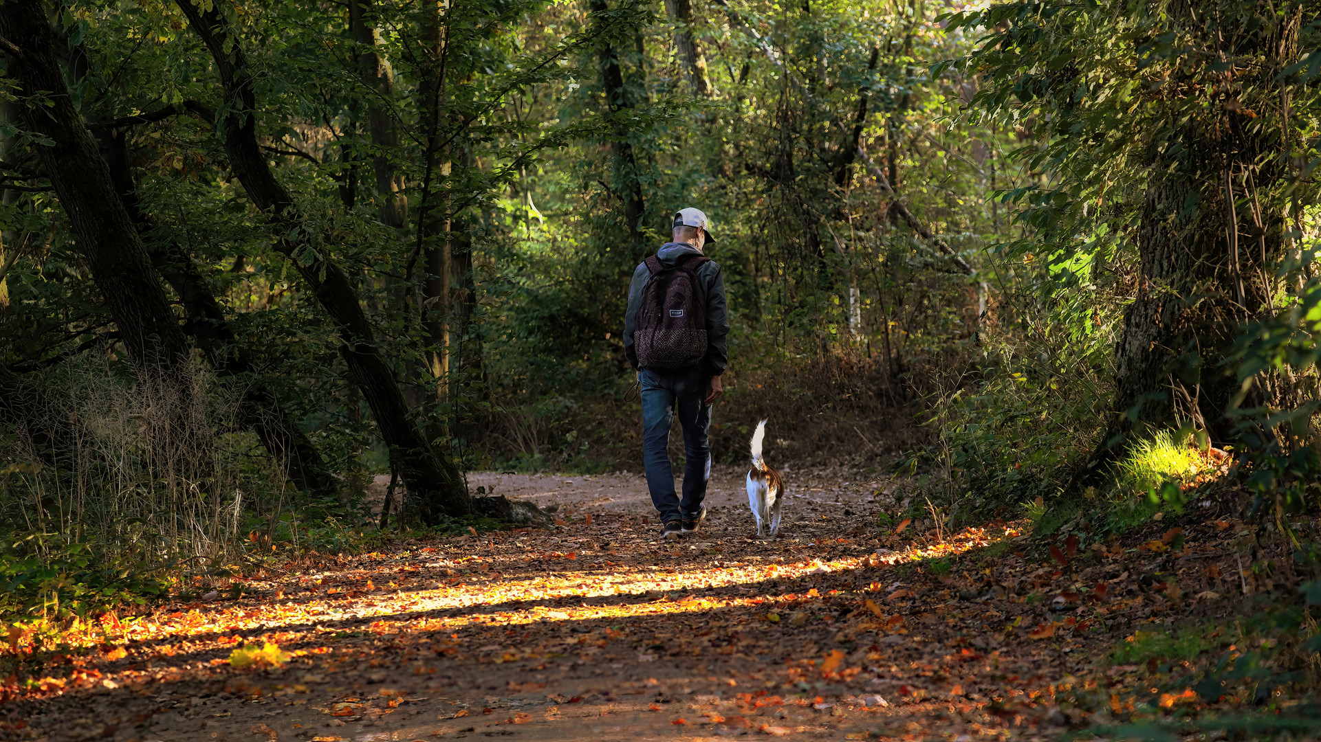 goldener Oktober