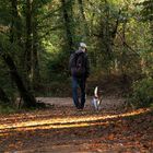 goldener Oktober