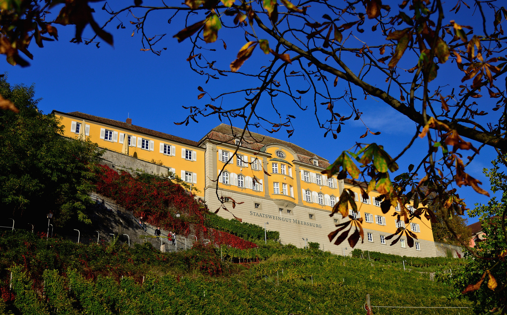 goldener Oktober...