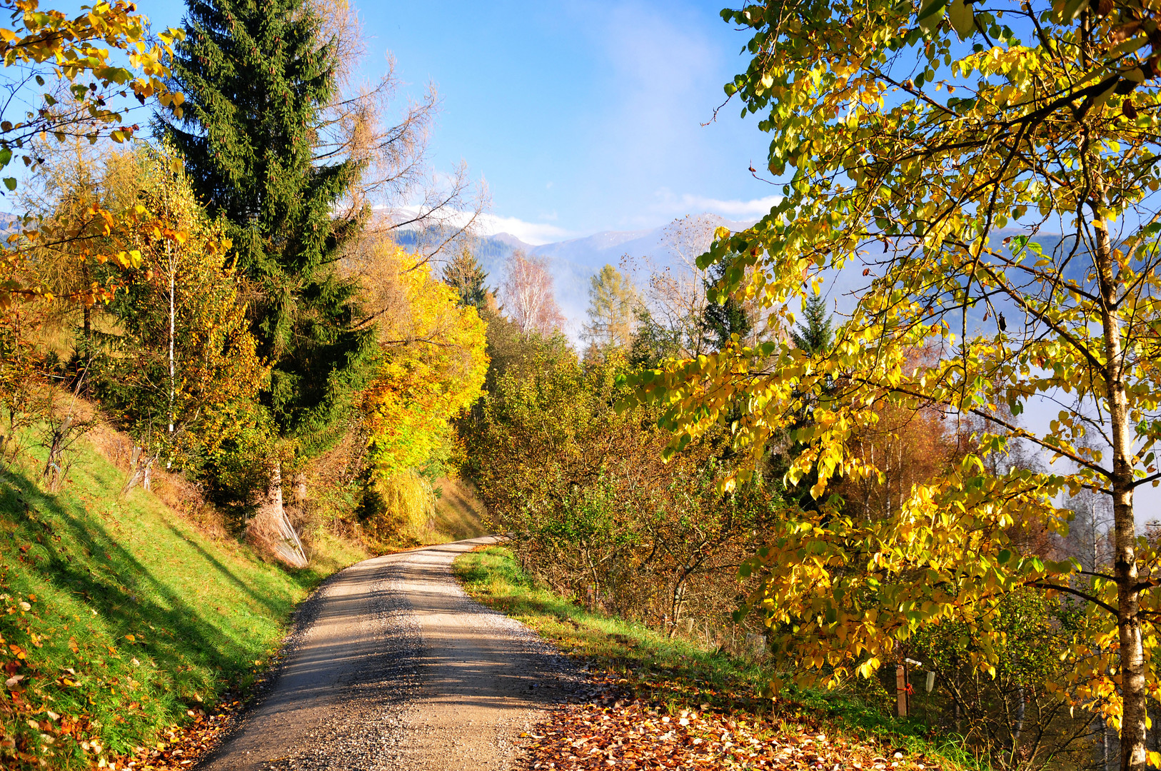 Goldener Oktober