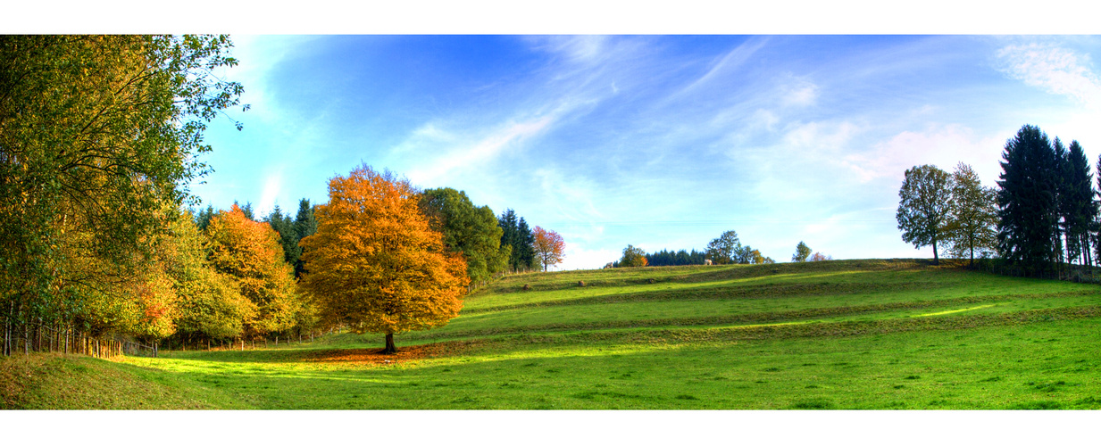 Goldener Oktober