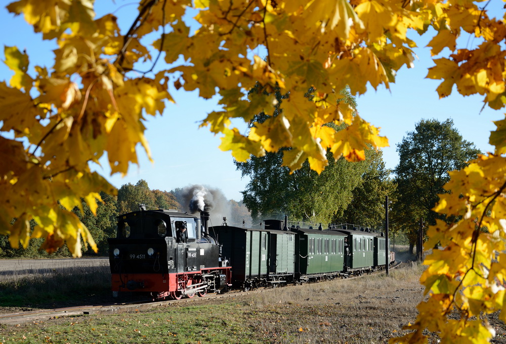 Goldener Oktober beim Pollo