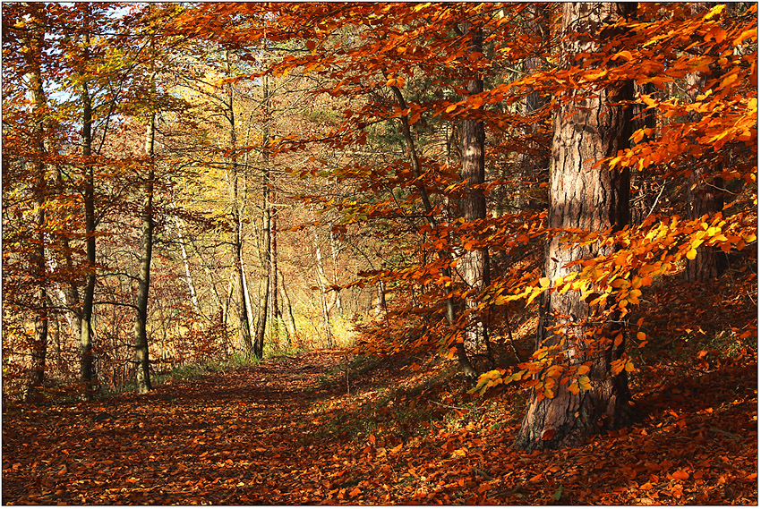 Goldener Oktober