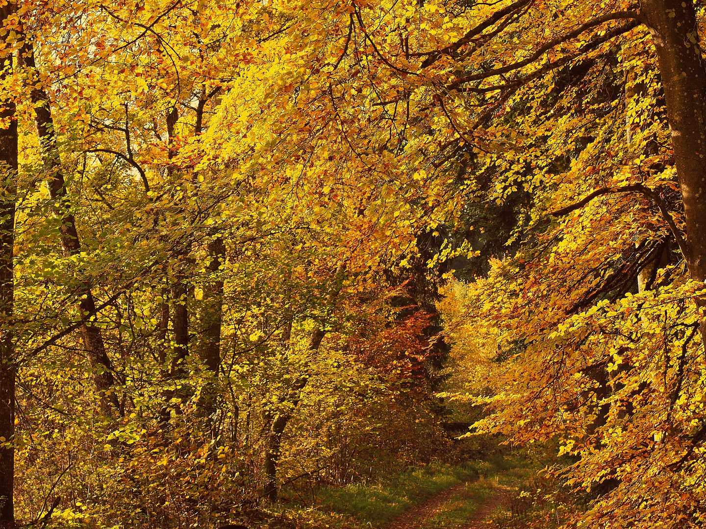 Goldener Oktober....