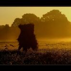 Goldener Oktober