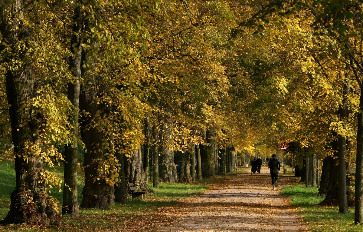 goldener Oktober