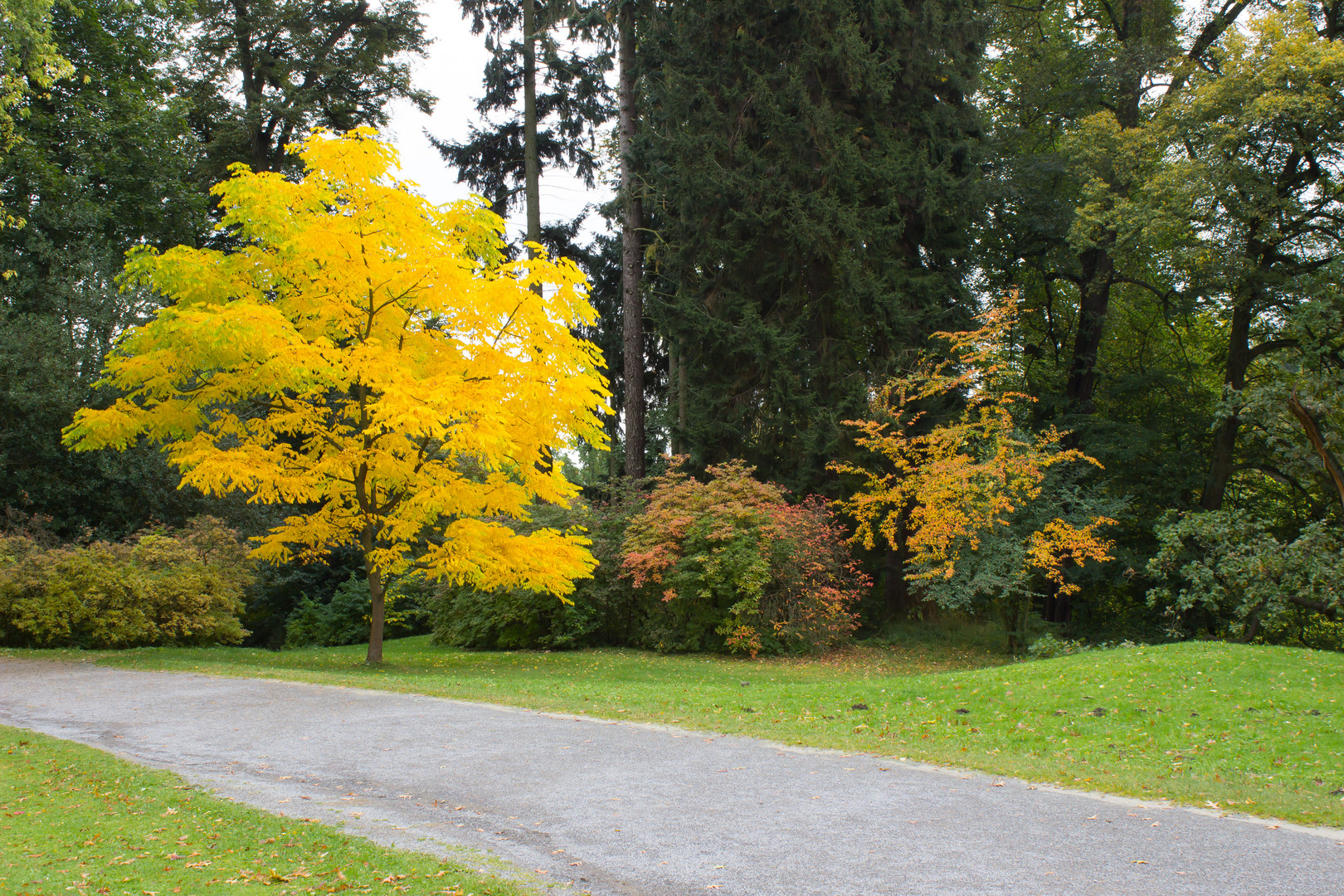 Goldener Oktober