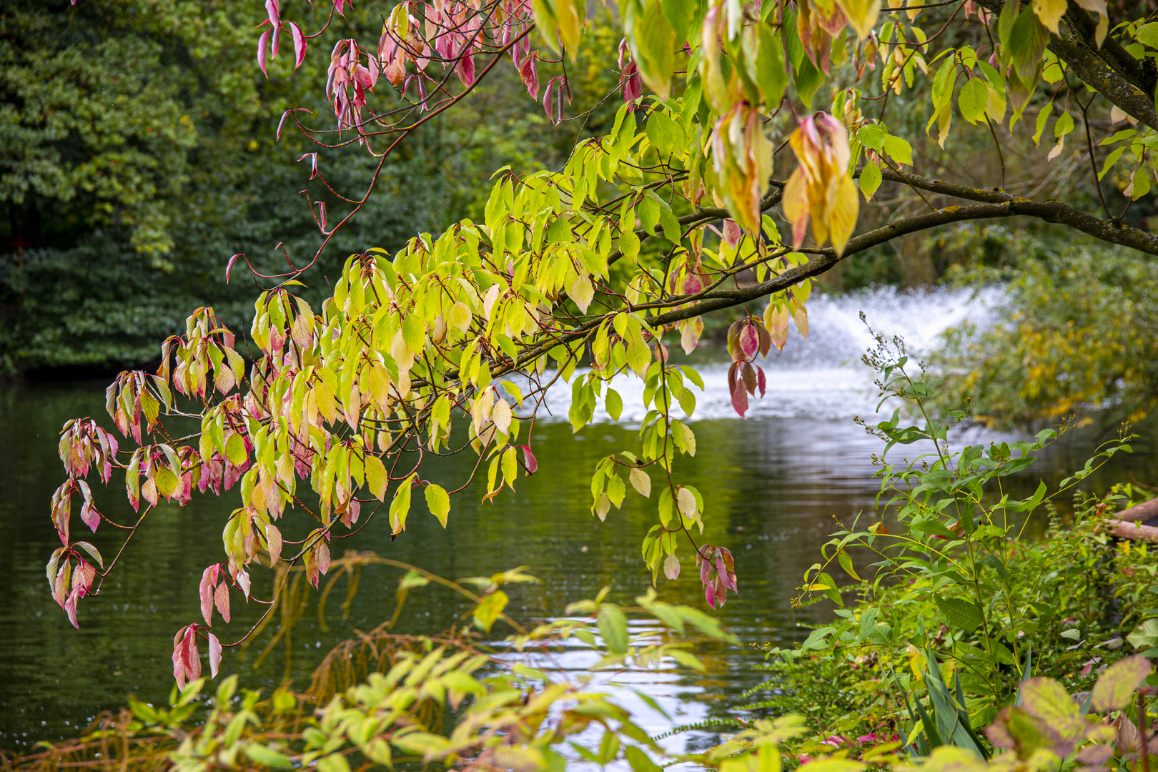 goldener Oktober