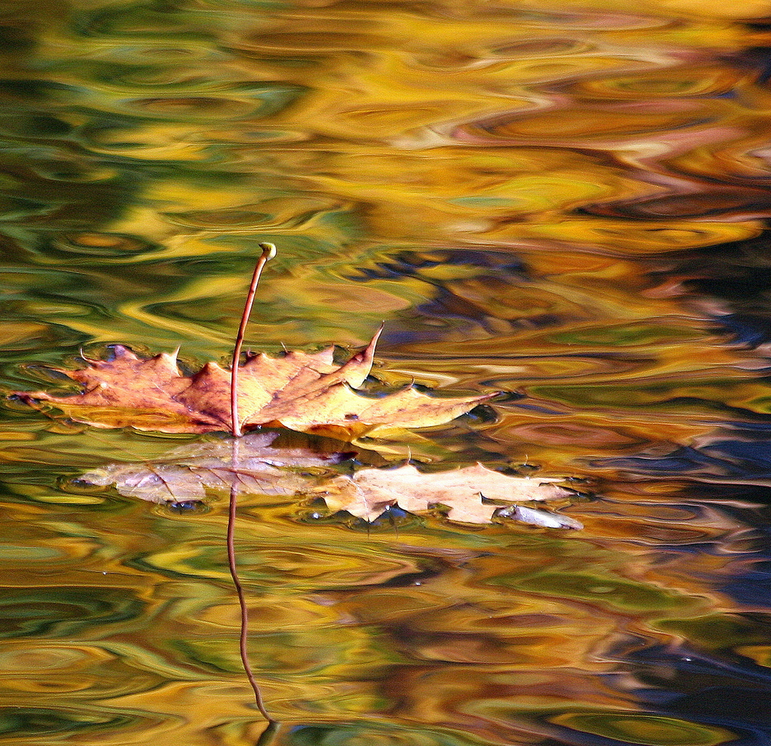 goldener Oktober....