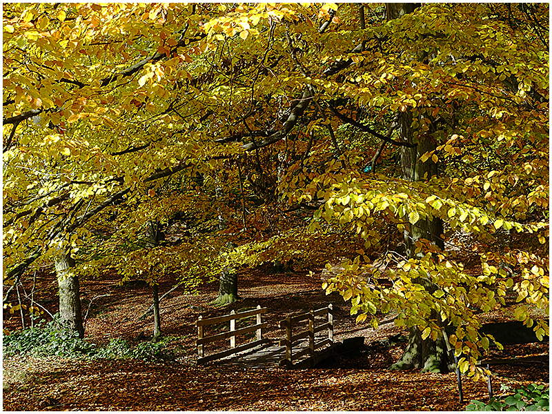 "Goldener Oktober" . . .