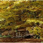 "Goldener Oktober" . . .