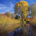 Goldener Oktober