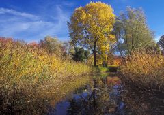 Goldener Oktober