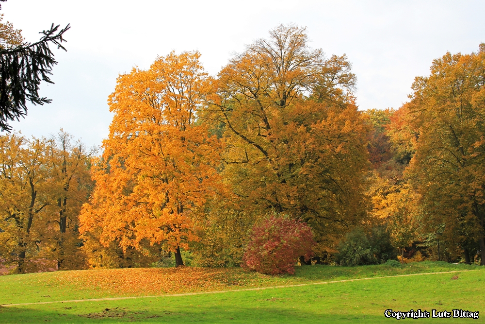 Goldener Oktober