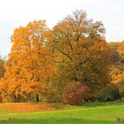 Goldener Oktober