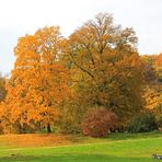 Goldener Oktober