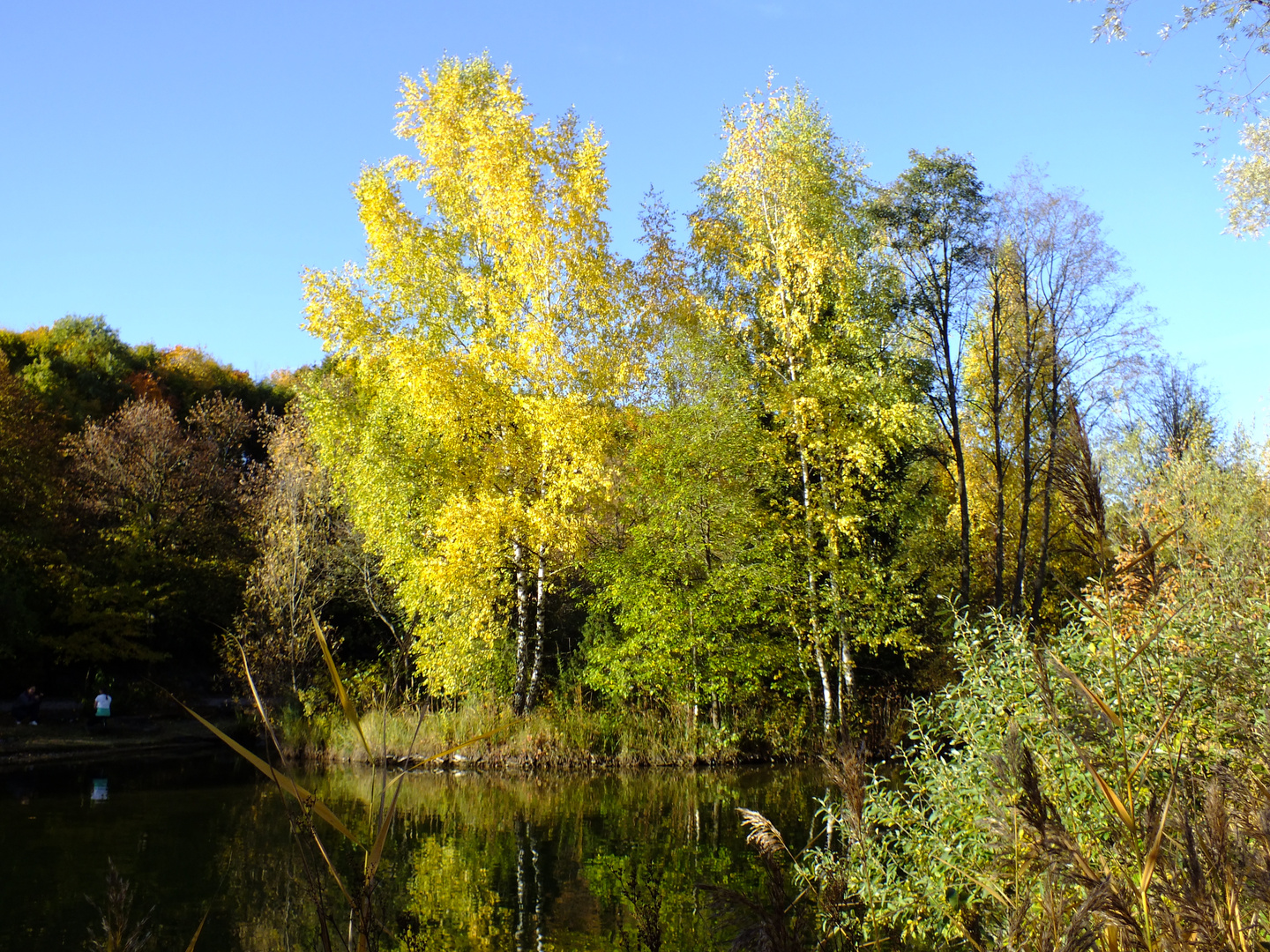 goldener Oktober