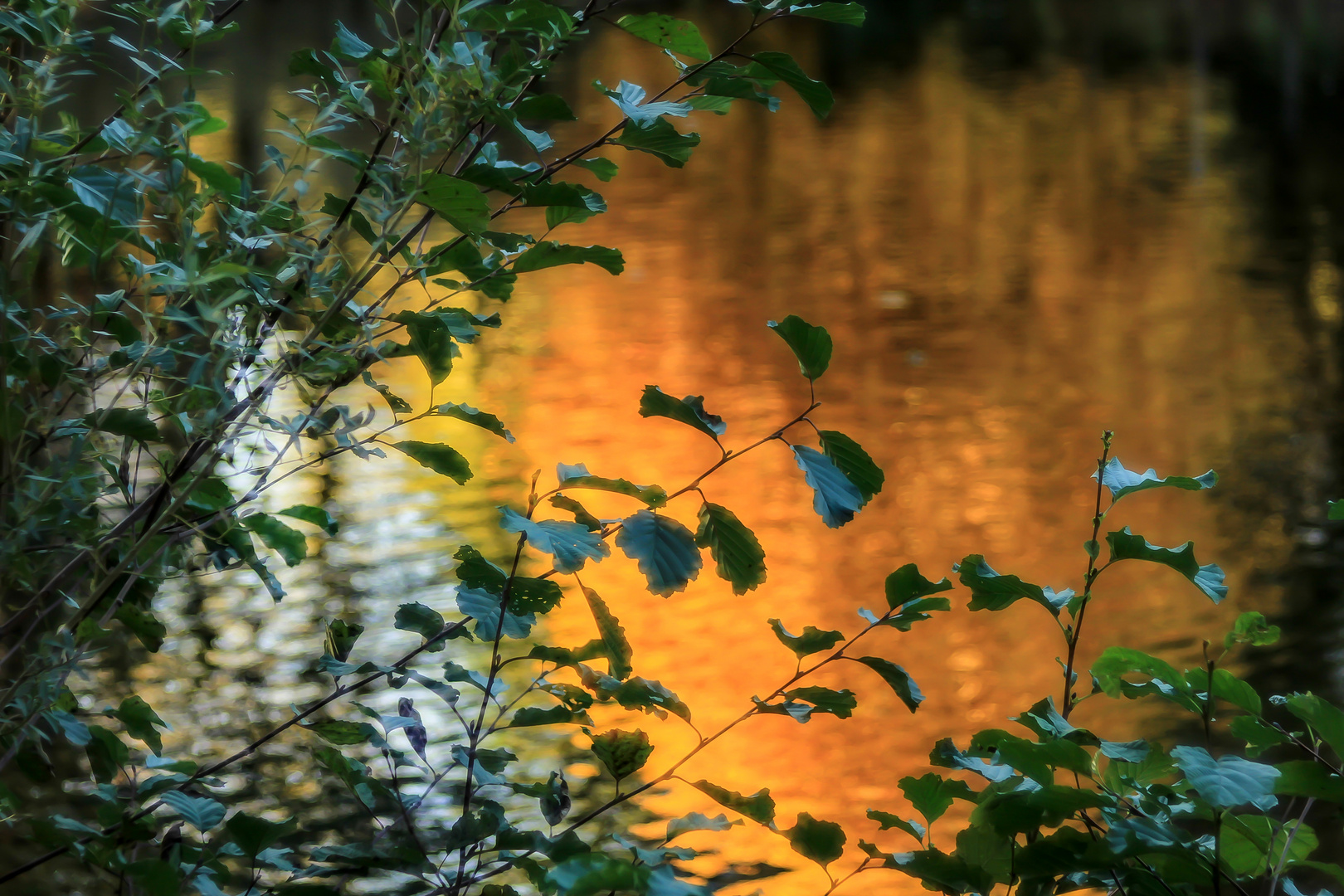 Goldener Oktober