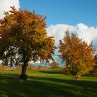 goldener Oktober...