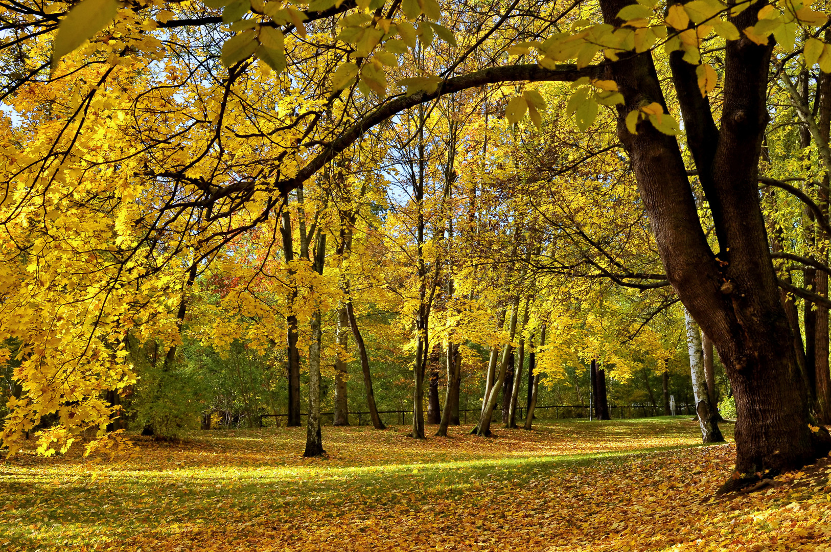 Goldener Oktober