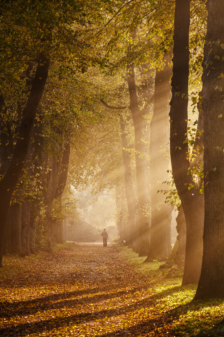 Goldener Oktober