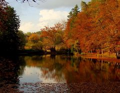 "Goldener Oktober"