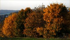 Goldener Oktober ...