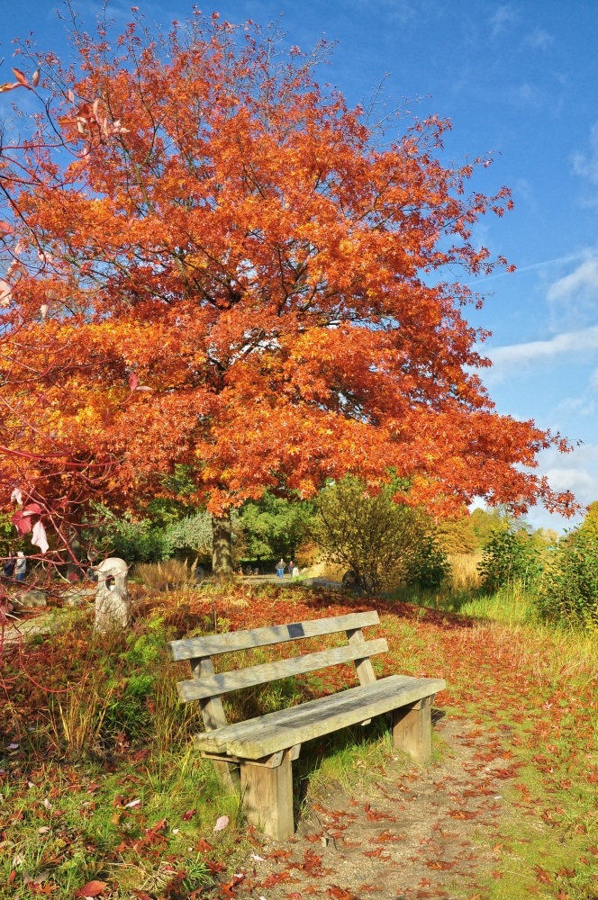 Goldener Oktober.....