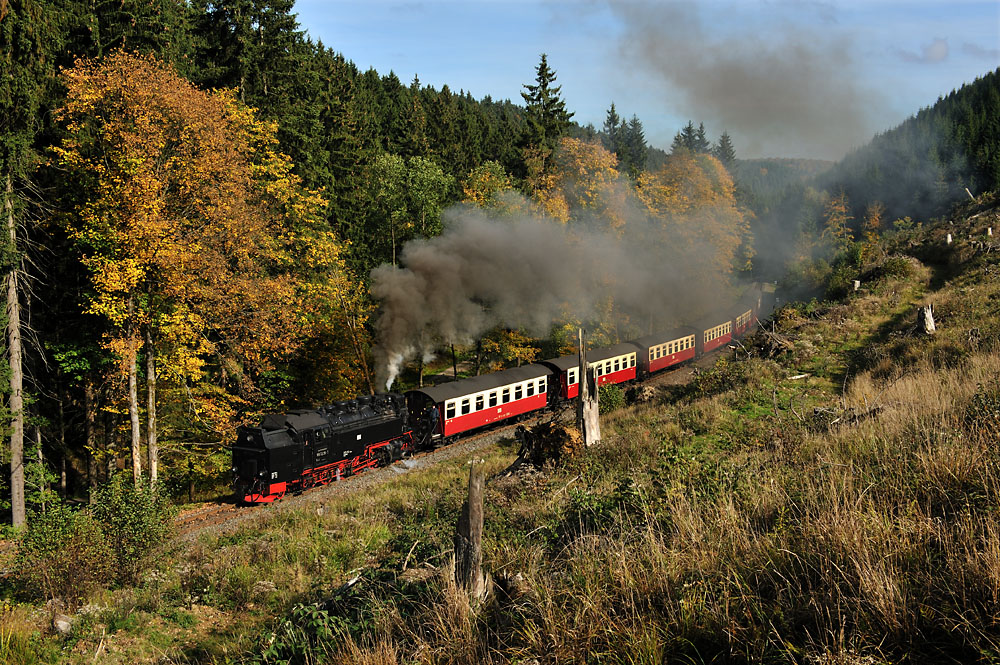 Goldener Oktober...