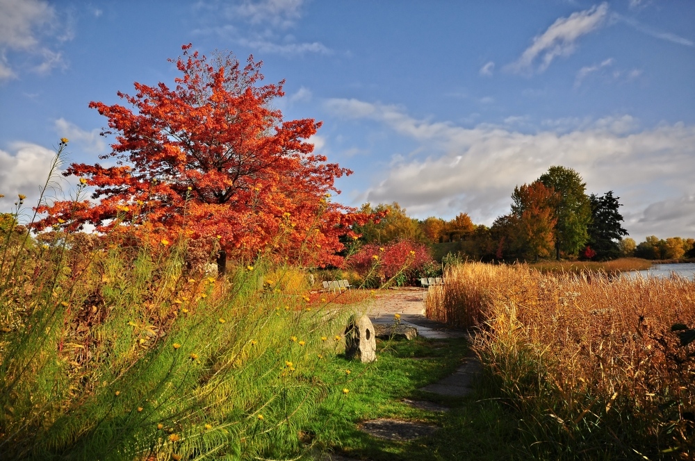 Goldener Oktober.......