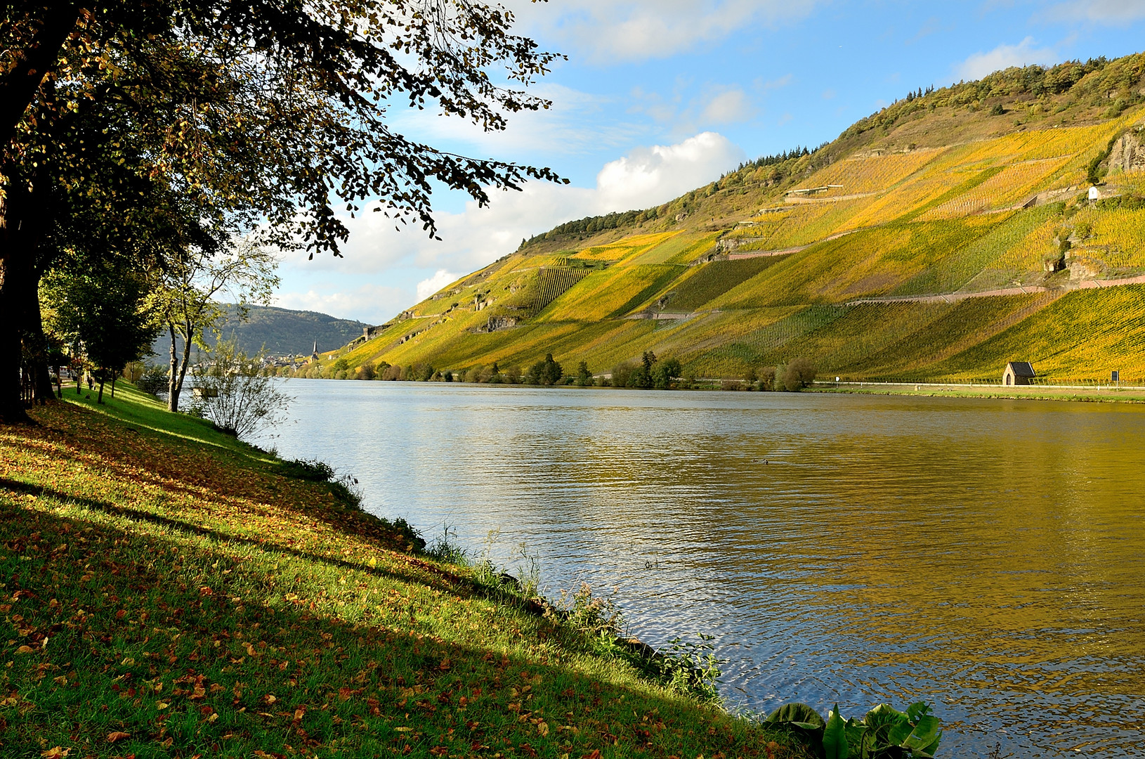 Goldener Oktober