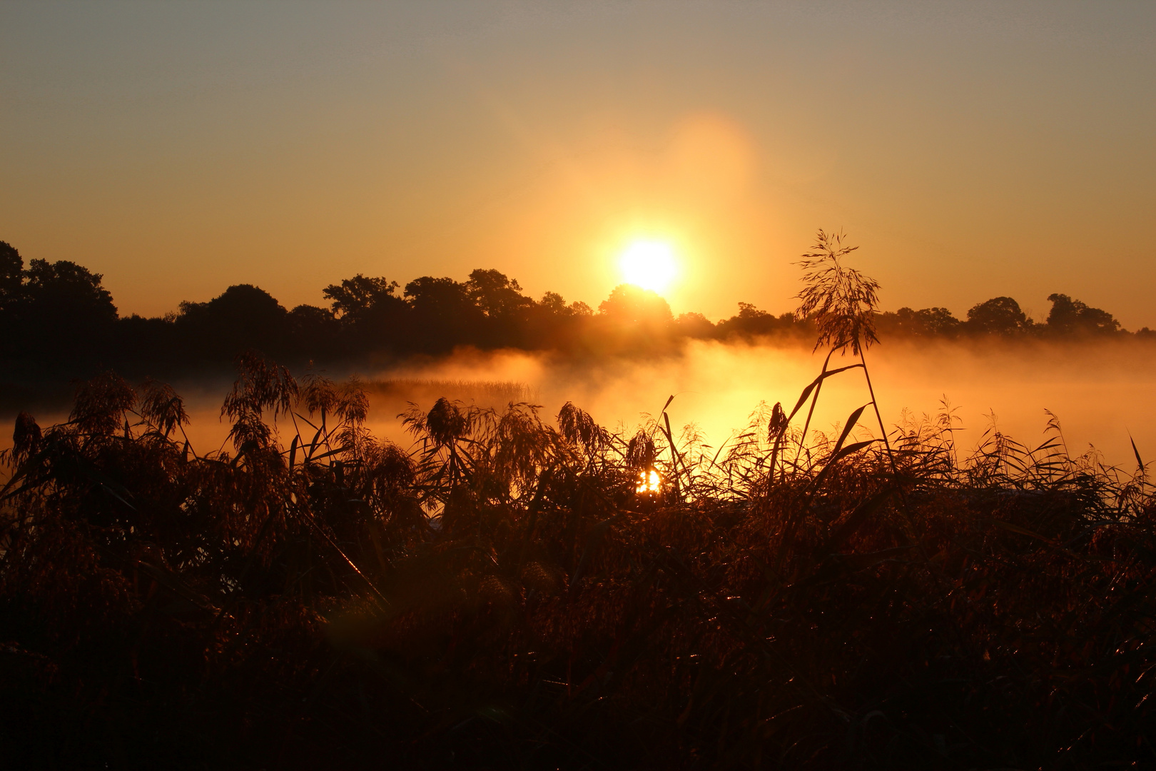 goldener Oktober