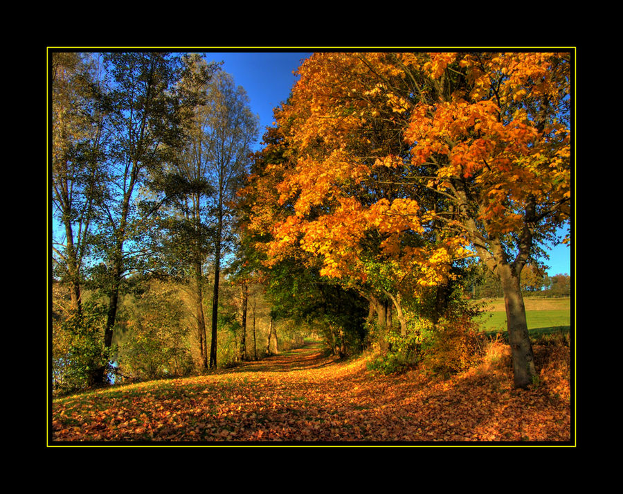 "Goldener Oktober"