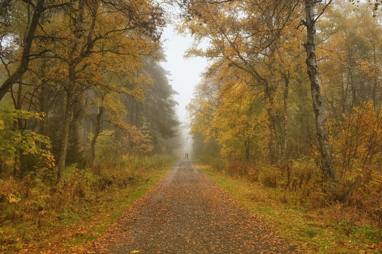 goldener Oktober