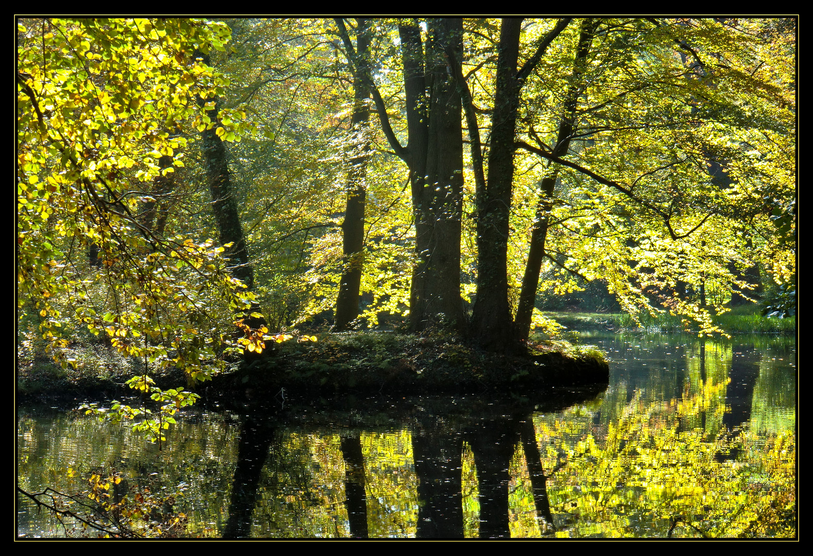 Goldener Oktober