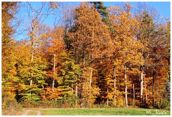Goldener Oktober !