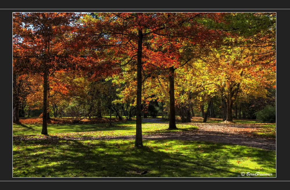 Goldener Oktober