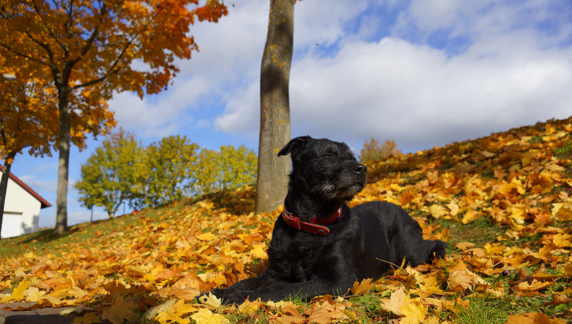 Goldener Oktober