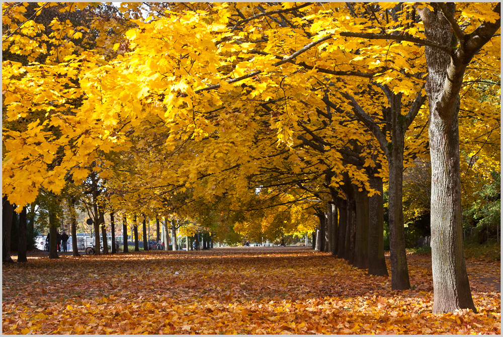 goldener Oktober